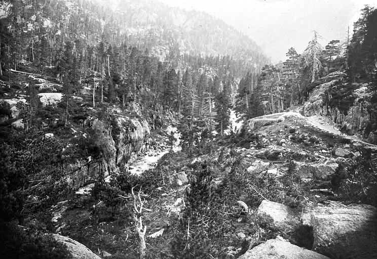 Paysage de rochers et de conifères au gave de Gaube