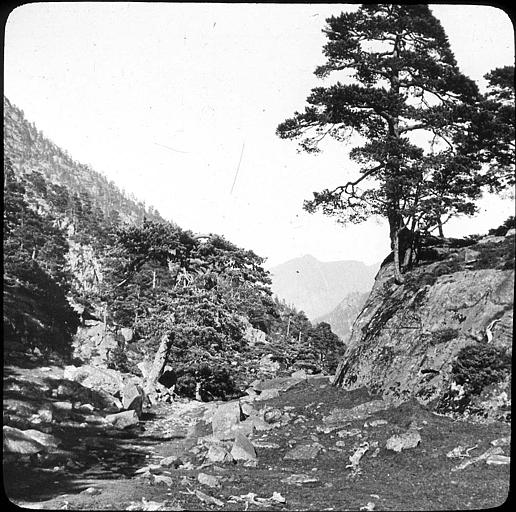 Vallée de Marcadau : sentier