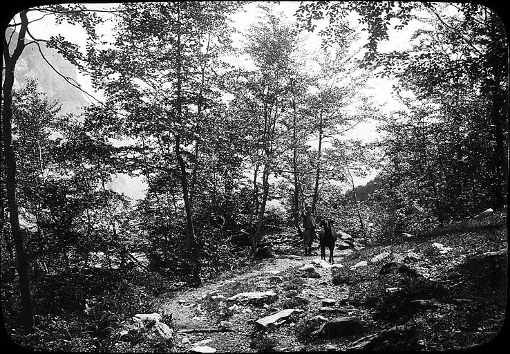Jeune garçon et bélier dans le bois de Saint-Savin, massif du Vignemale