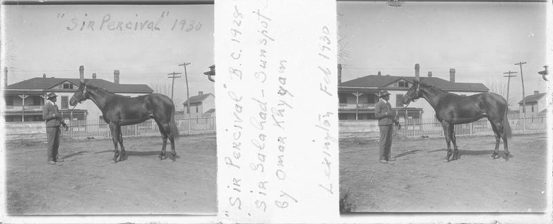 Sir Percival (1928), cheval de course vu de profil et homme devant une maison. Pedigree : Sir Gallahad (1920) et Sun Spot (1921)