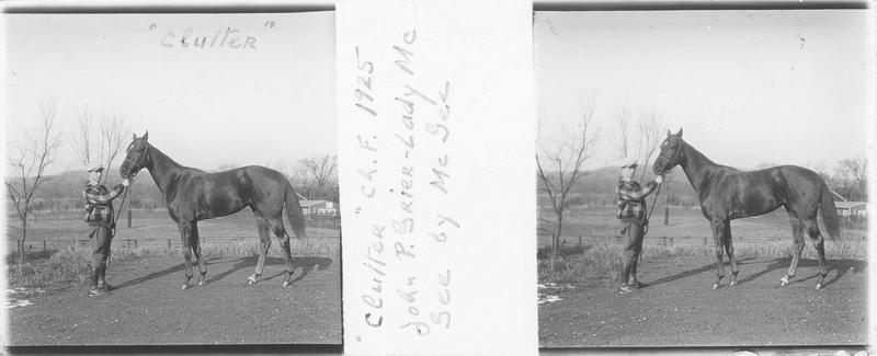 Clutter (1925), cheval de course vu de profil et homme sur un chemin. Pedigree : John P. Grier (1917) et Lady McGee (1909)