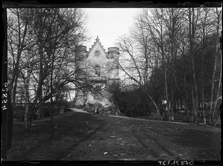 Façade du château vue à travers les frondaisons