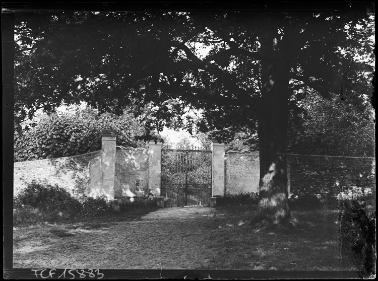 Enceinte fermée par une grille, un arbre au premier plan
