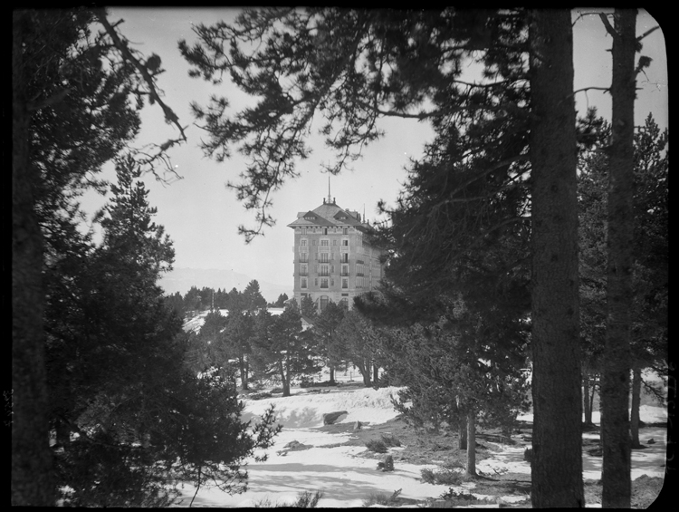 Façade latérale vue à travers une forêt de conifères