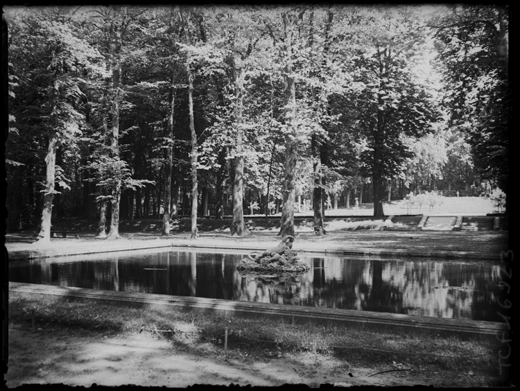 Un bassin dans le parc