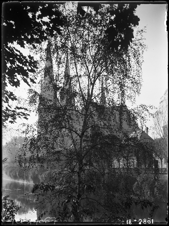 Église vue à travers les frondaisons