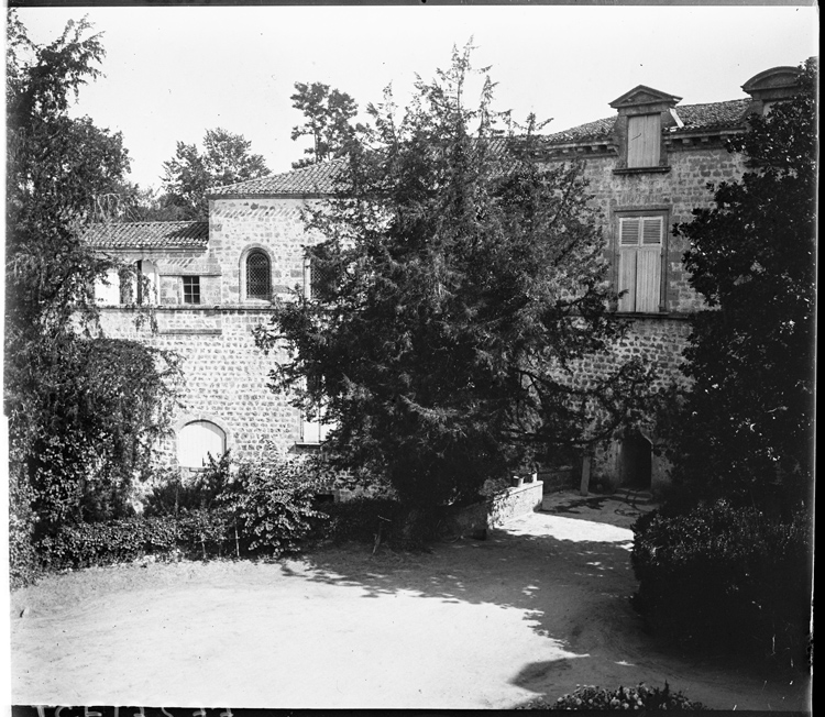 Façade vue à travers les frondaisons