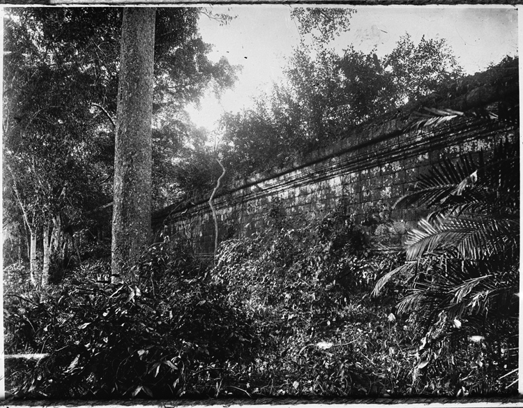 Mur d’enceinte émergeant de la forêt vierge