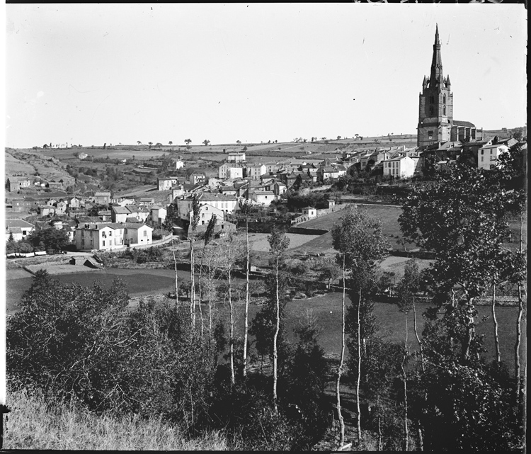 Panorama sur la ville et la collégiale Notre-Dame