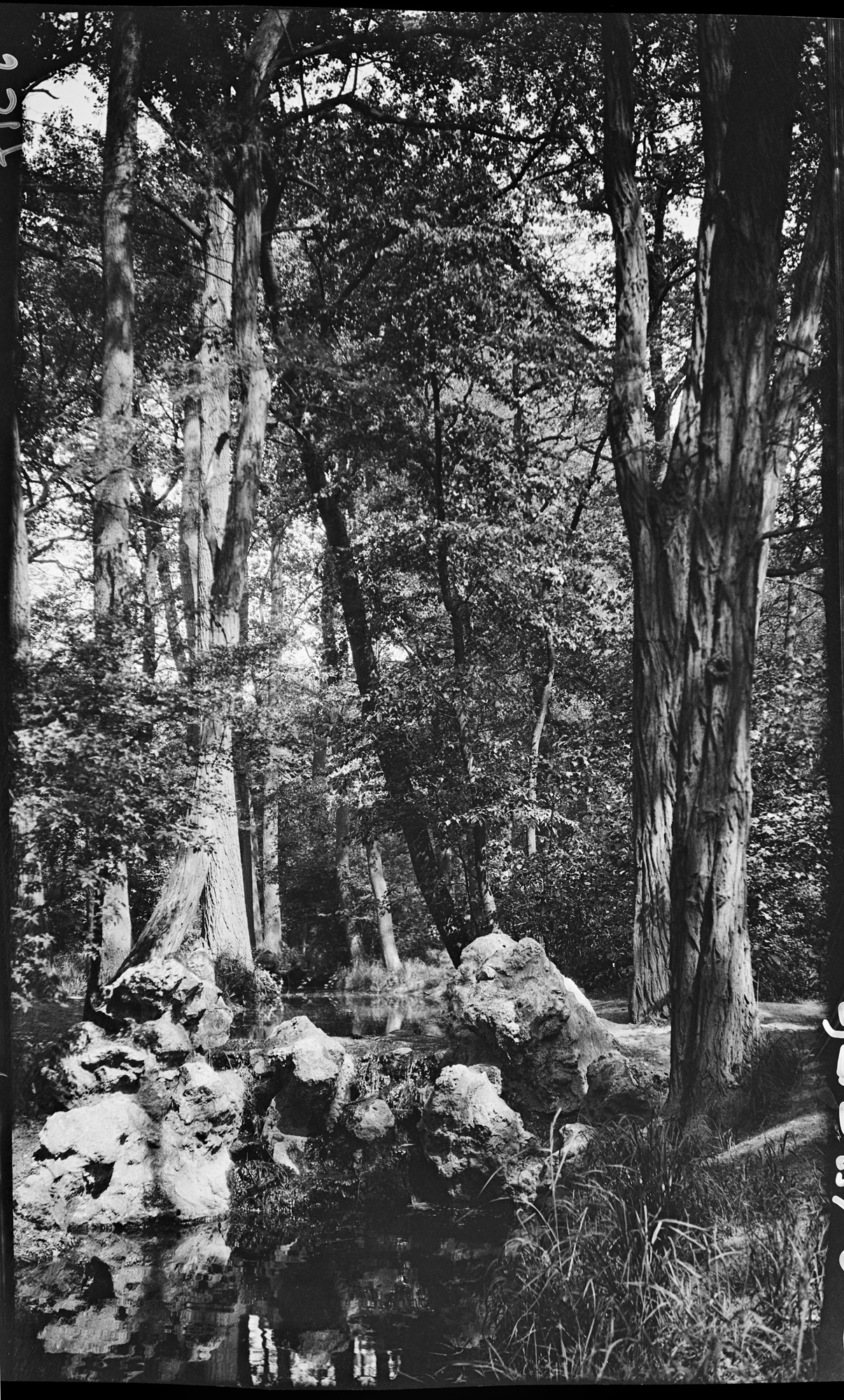 Une cascade dans le bois de Vincennes