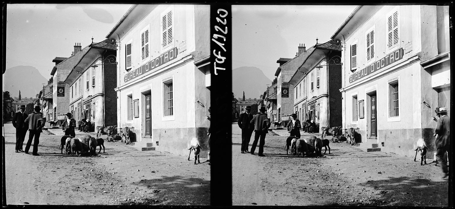 Marché aux bestiaux devant le bureau de l’octroi