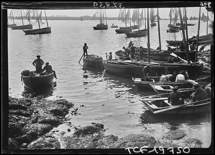 Pêcheurs débarquant au port