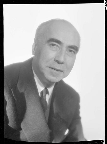 René de Chambrun, avocat d'affaire