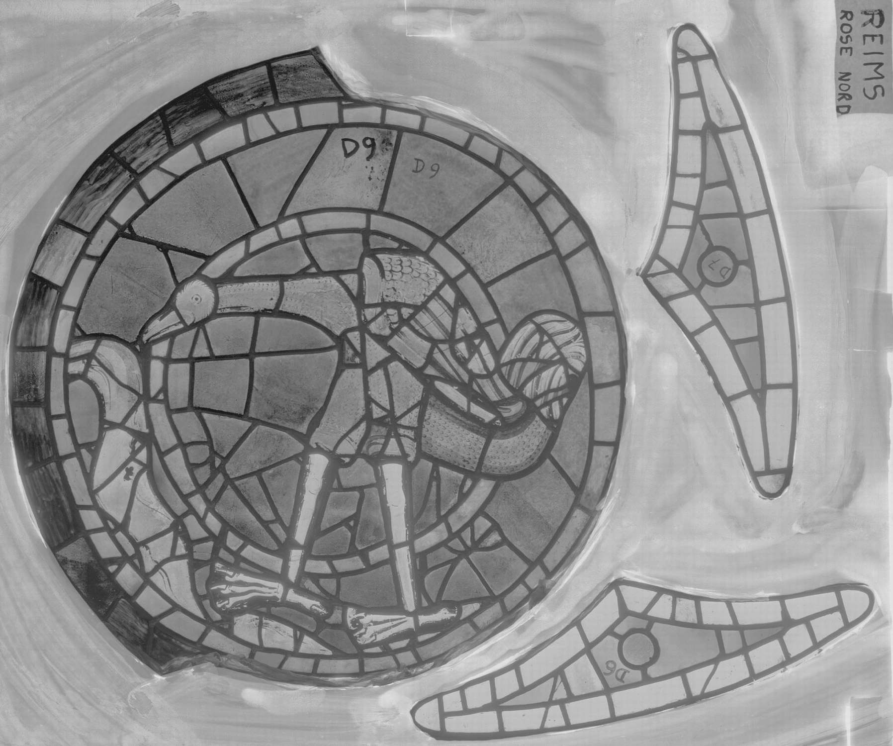 Rose Nord ; Bras Nord du transept ; Écoinçon D7 - D6 ; Panneau D9 (Échassier)