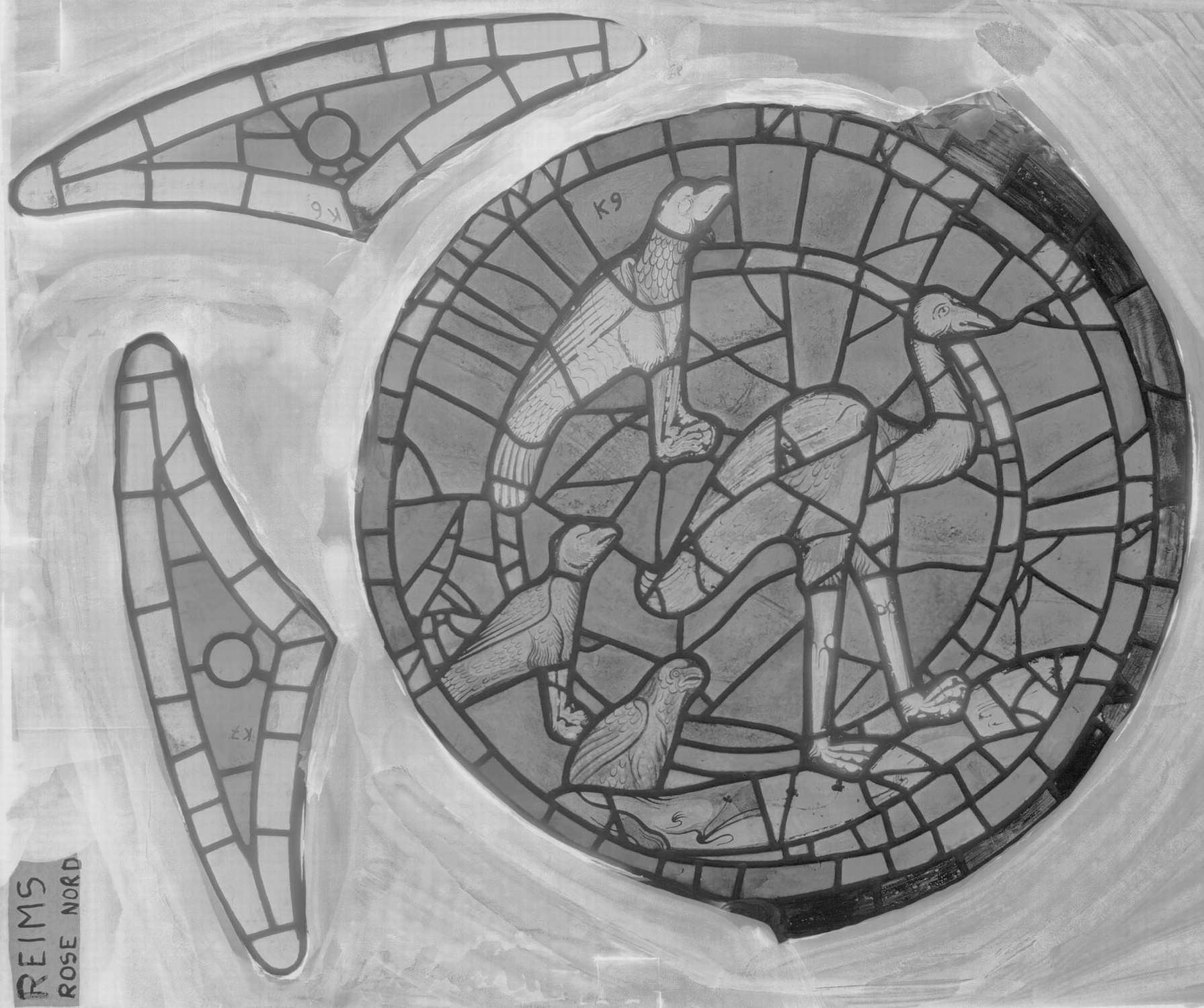 Rose Nord ; Bras Nord du transept ; Écoinçon K7 - K6 ; Panneau K9 (Oiseaux)