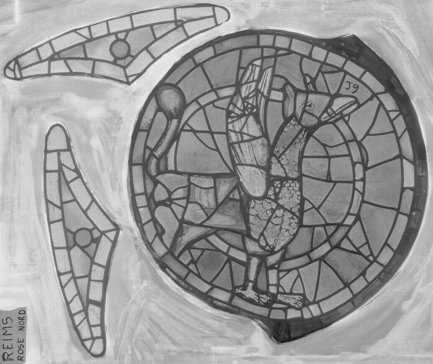 Rose Nord ; Bras Nord du transept ; Écoinçon J6 - J7 ; Panneau J9 (Griffon)