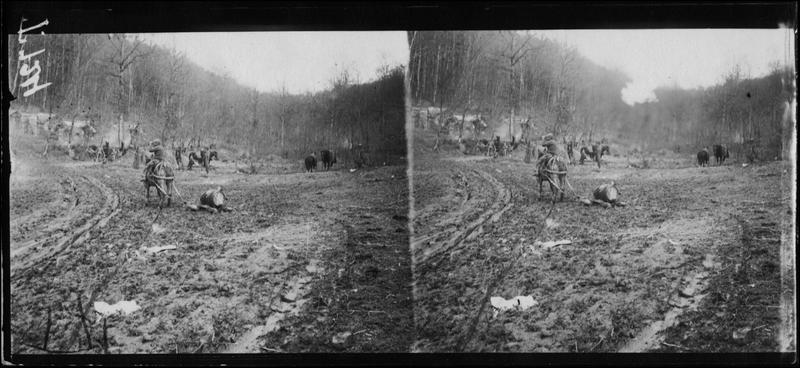 Courtes-Chausses près du bois de La Chalade, traînage de tonneaux
