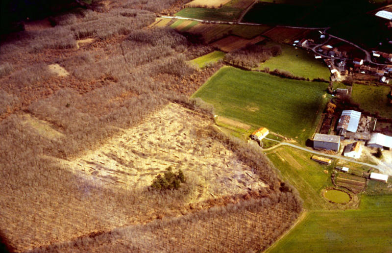 Tumulus; motte castrale
