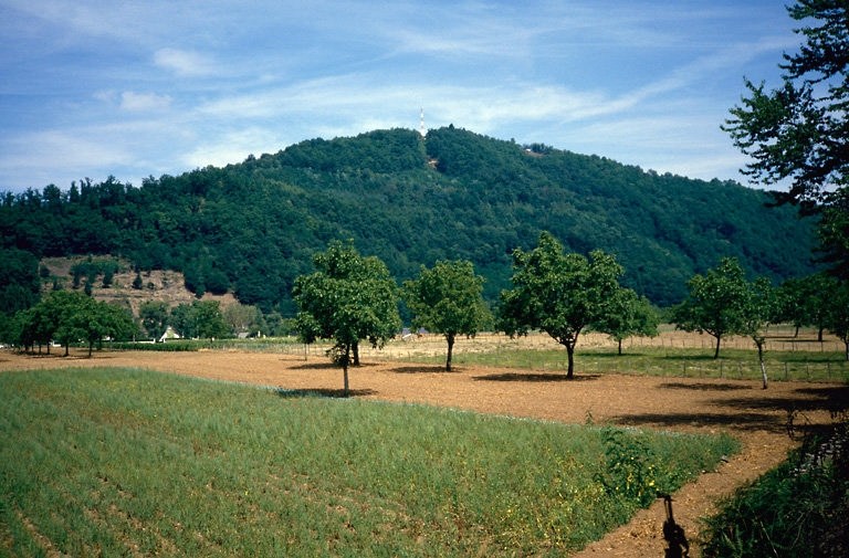 Vue lointaine du Puy du Tour.