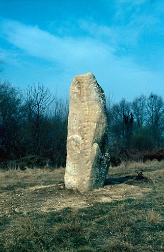 Menhir dit la Pierre du Communal ou la Pierre à Cupules d'Arnac