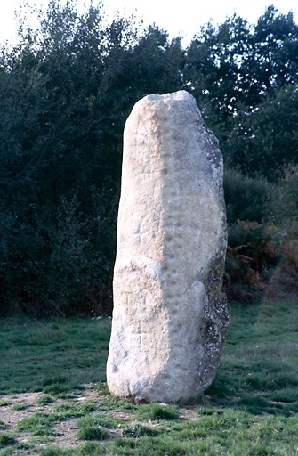 Menhir dit la Pierre du Communal ou la Pierre à Cupules d'Arnac