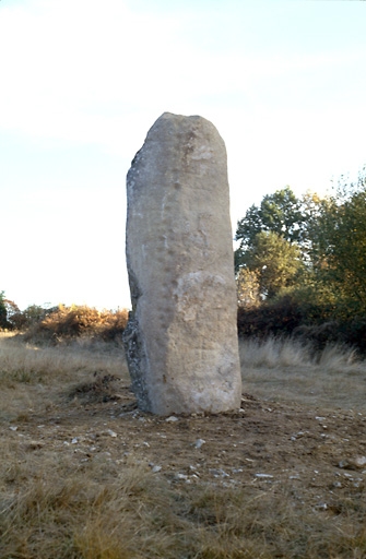 Menhir dit la Pierre du Communal ou la Pierre à Cupules d'Arnac