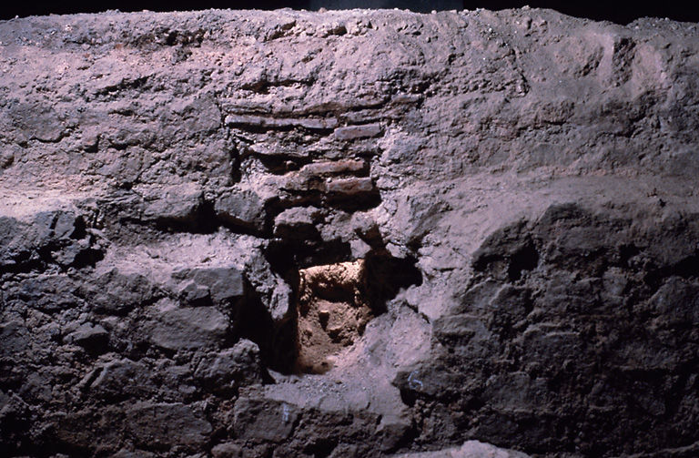 Face intérieure du mur du laconicum.