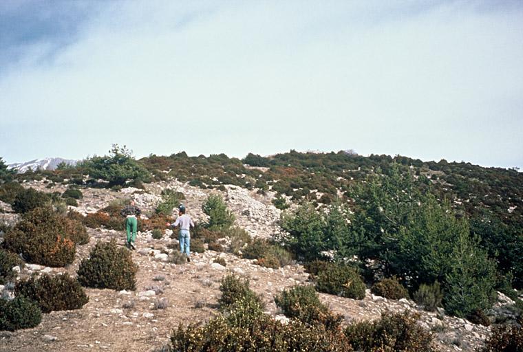 Enceinte : en pierres sèches de type pastoral