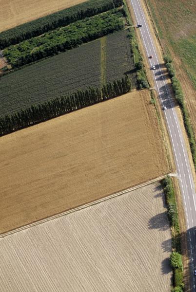 Voie : voie romaine