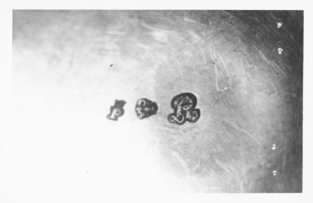 coffret aux saintes huiles, détail des poinçons