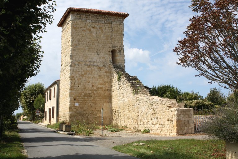 Tour et pan de mur d'enceinte, parcelle AC 50, vue d'ensemble depuis le sud-est.