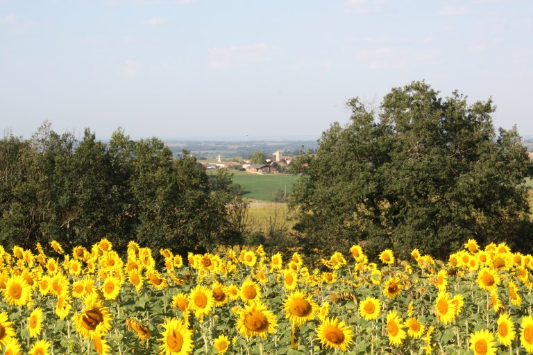 Vue générale de Gaudonville depuis le village de Castéron au nord-est.