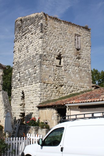 Tour, parcelle B 1022, vue depuis le sud.