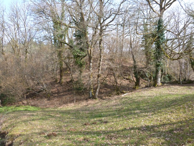 Motte castrale, vue d'ensemble depuis le sud-ouest.