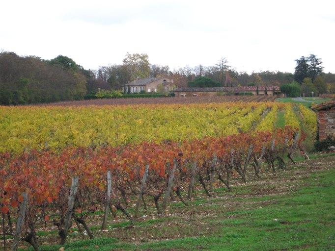 Le domaine dans les vignes, vue depuis l'ouest.