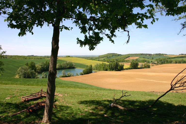 Champs vers le château de Bellegarde.