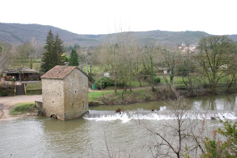 Vue générale du moulin et de la chaussée depuis l'est.