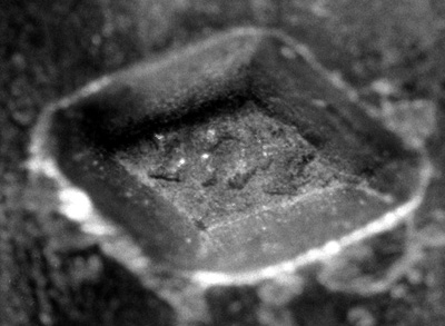 Garantie de Paris, Léon Teyssedre (L.T.), symbole : un fer à cheval avec quatre clous