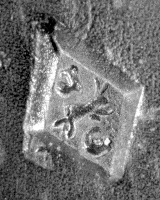 Garantie de Paris, Jean Grisel (J.G.), symbole : un grillon tête à droite