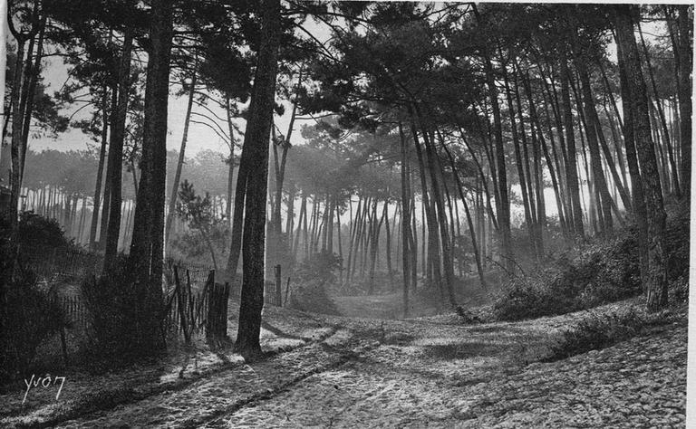 'D'Arcachon au Moulleau. - La paix du soir'.