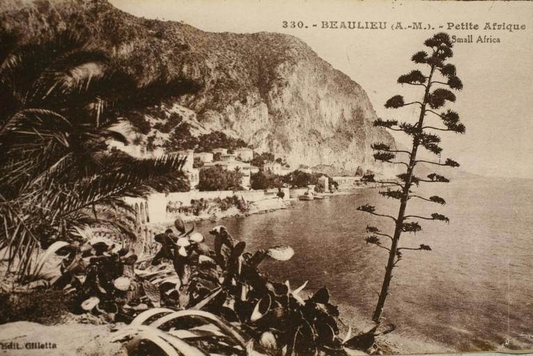 Petite Afrique