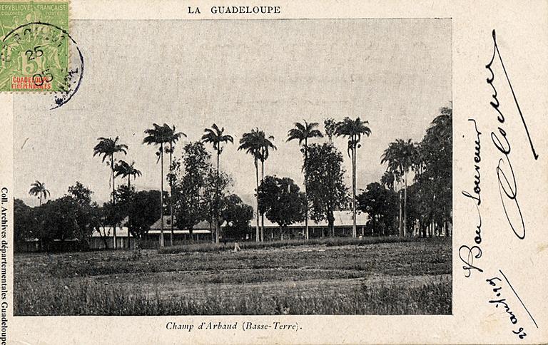 Vue du côté est