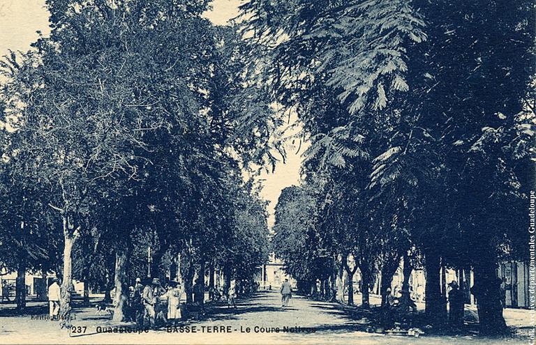 Vue des tamarins