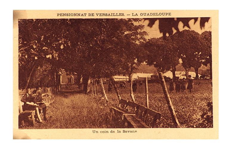 Le parc