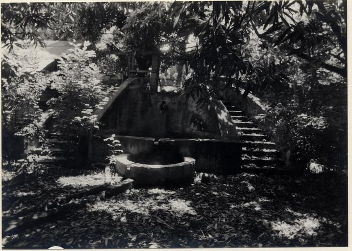 Jardin, escalier