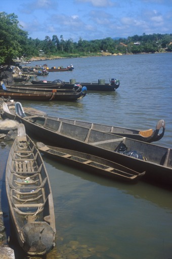 Pirogue bushinengé à moteur