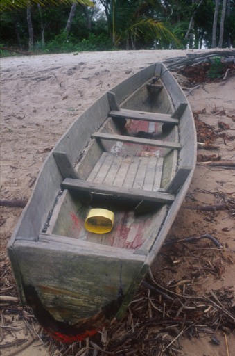 Pirogue d'estuaire (n°2)