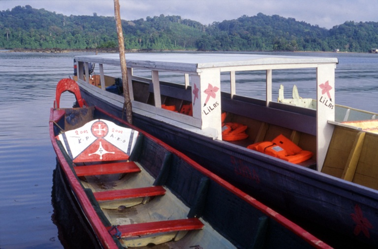 Pirogue fileuse à abri et à moteur (n°1)