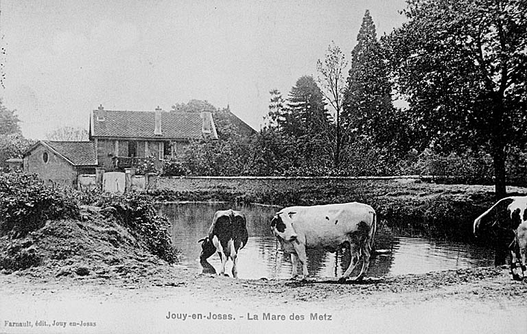 La mare des Metz.