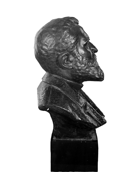 Vue du profil droit.